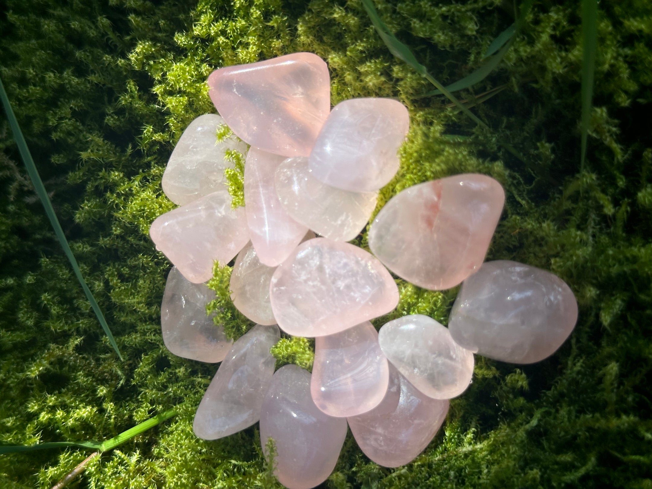 Beautiful Rose Quartz Tumbled Stones from Brazil - Top Quality, Available in Packs of 50g and 100g for Healing and Home Decor - The Celestial Boutique