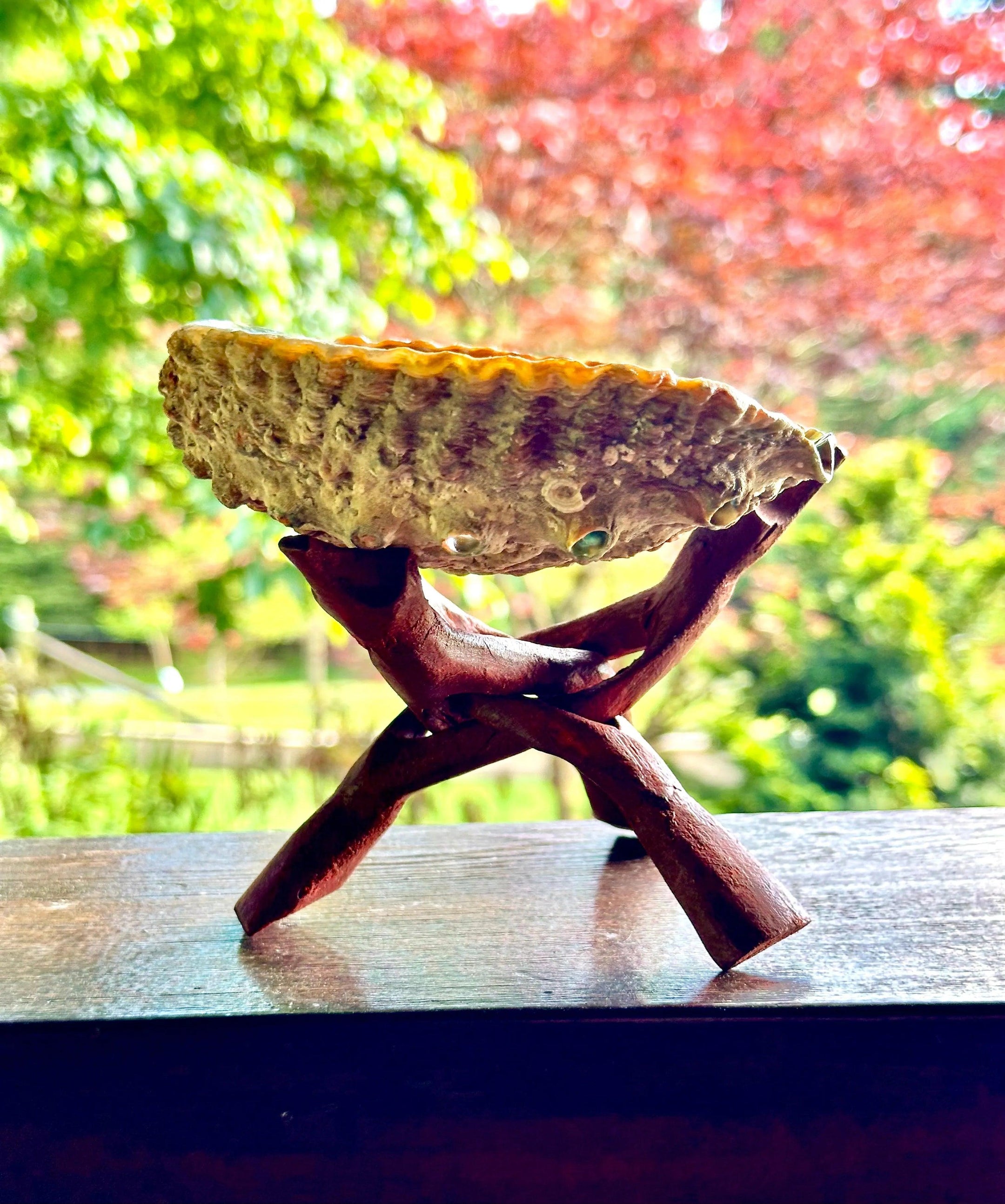 Large Natural Abalone Shell Smudge bowl With Stand, High Quality, Perfect for Cleansing - Smudging - The Celestial Boutique