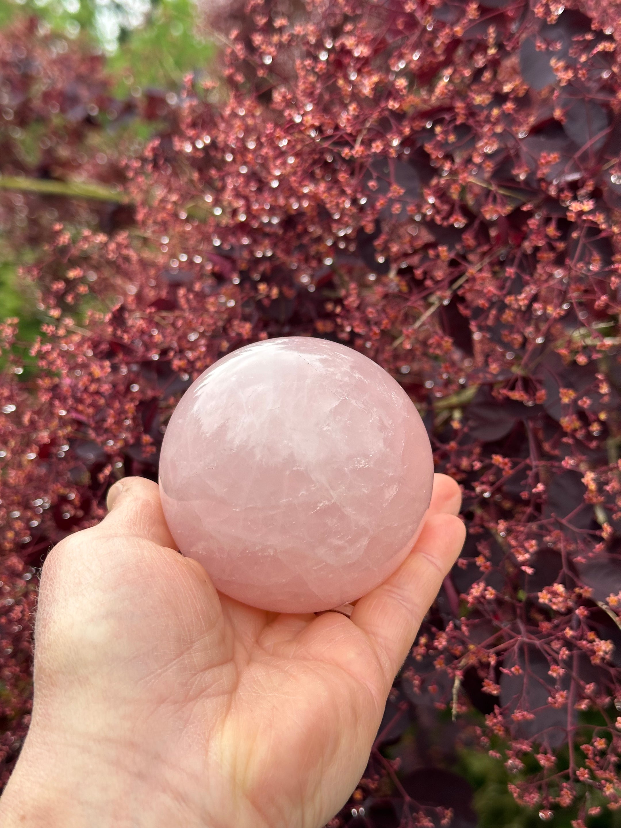 Beautiful Natural Selenite Spheres imported from from Brazil, Average 58mm and 250 grams, Energy Cleansing - The Celestial Boutique