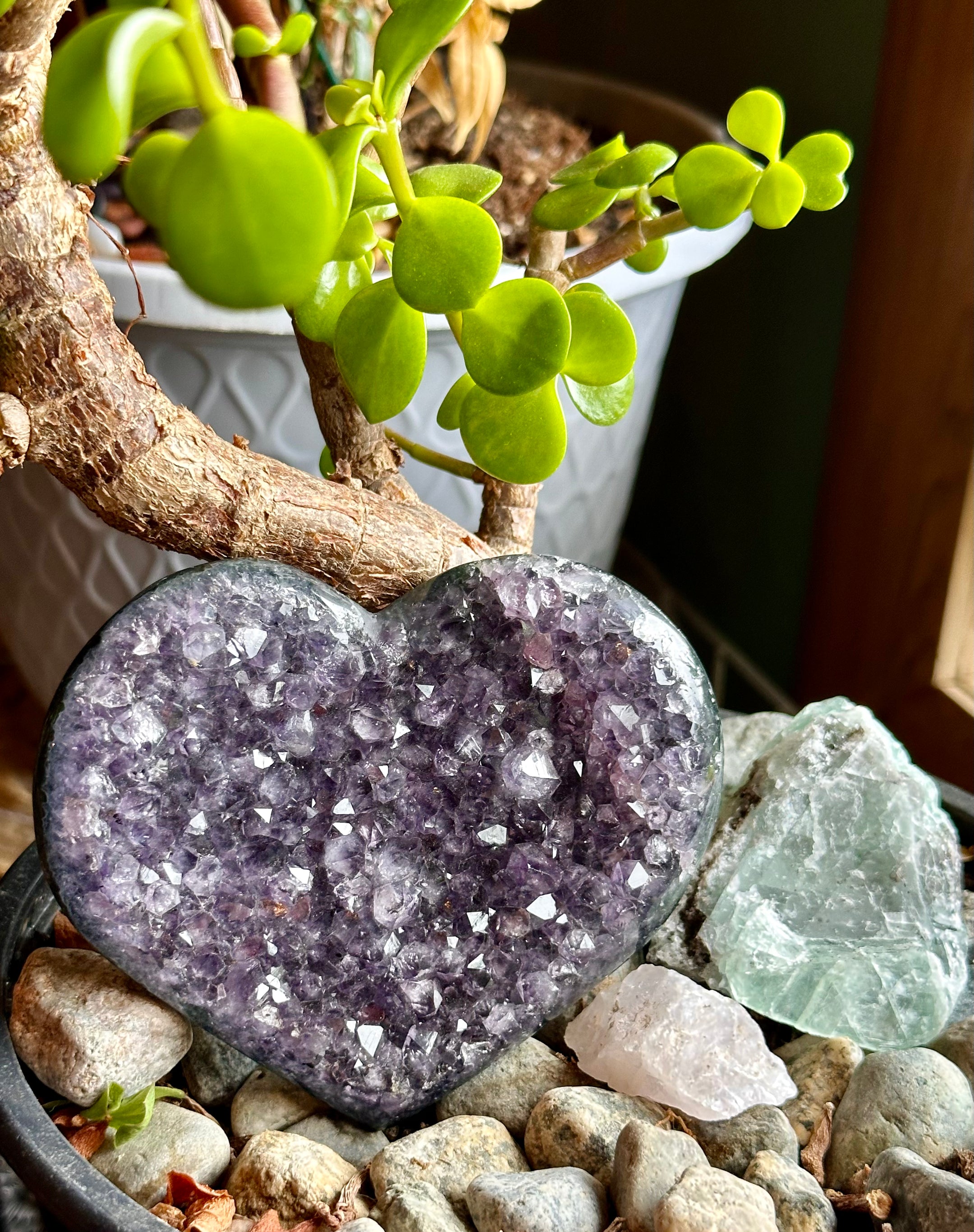 Stunning A Grade Amethyst Heart Cluster from Brazil - High Quality Amethyst Crystal for Healing, Home Decor, and Meditation - The Celestial Boutique