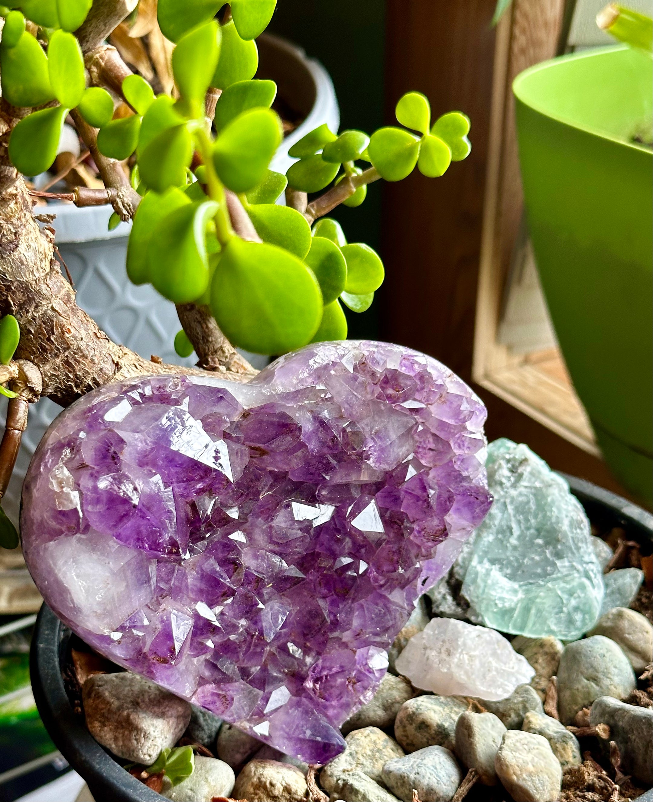 Stunning A Grade Amethyst Heart Cluster from Brazil - High Quality Amethyst Crystal for Healing, Home Decor, and Meditation - The Celestial Boutique