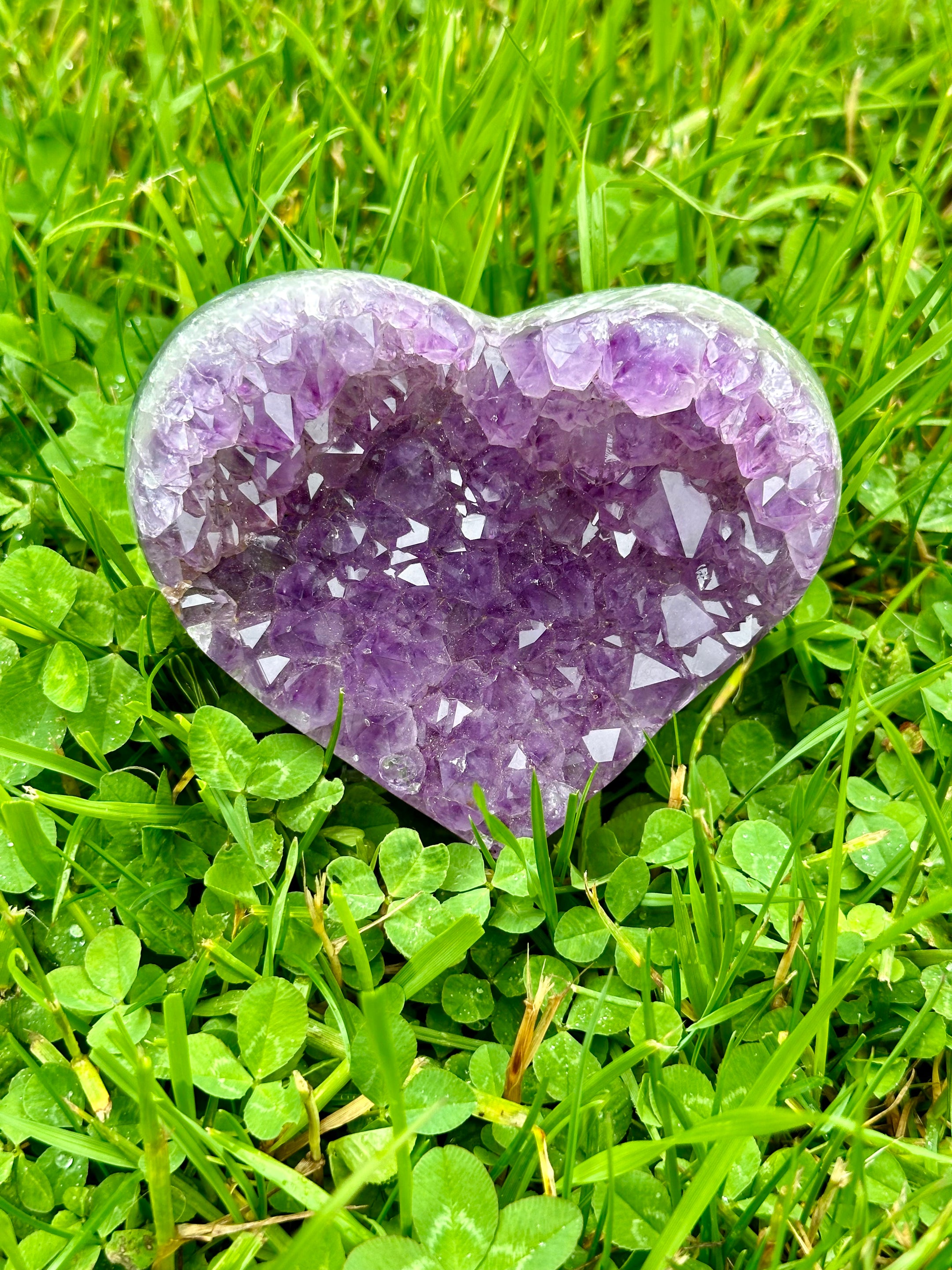 Stunning A Grade Amethyst Heart Cluster from Brazil - High Quality Amethyst Crystal for Healing, Home Decor, and Meditation - The Celestial Boutique