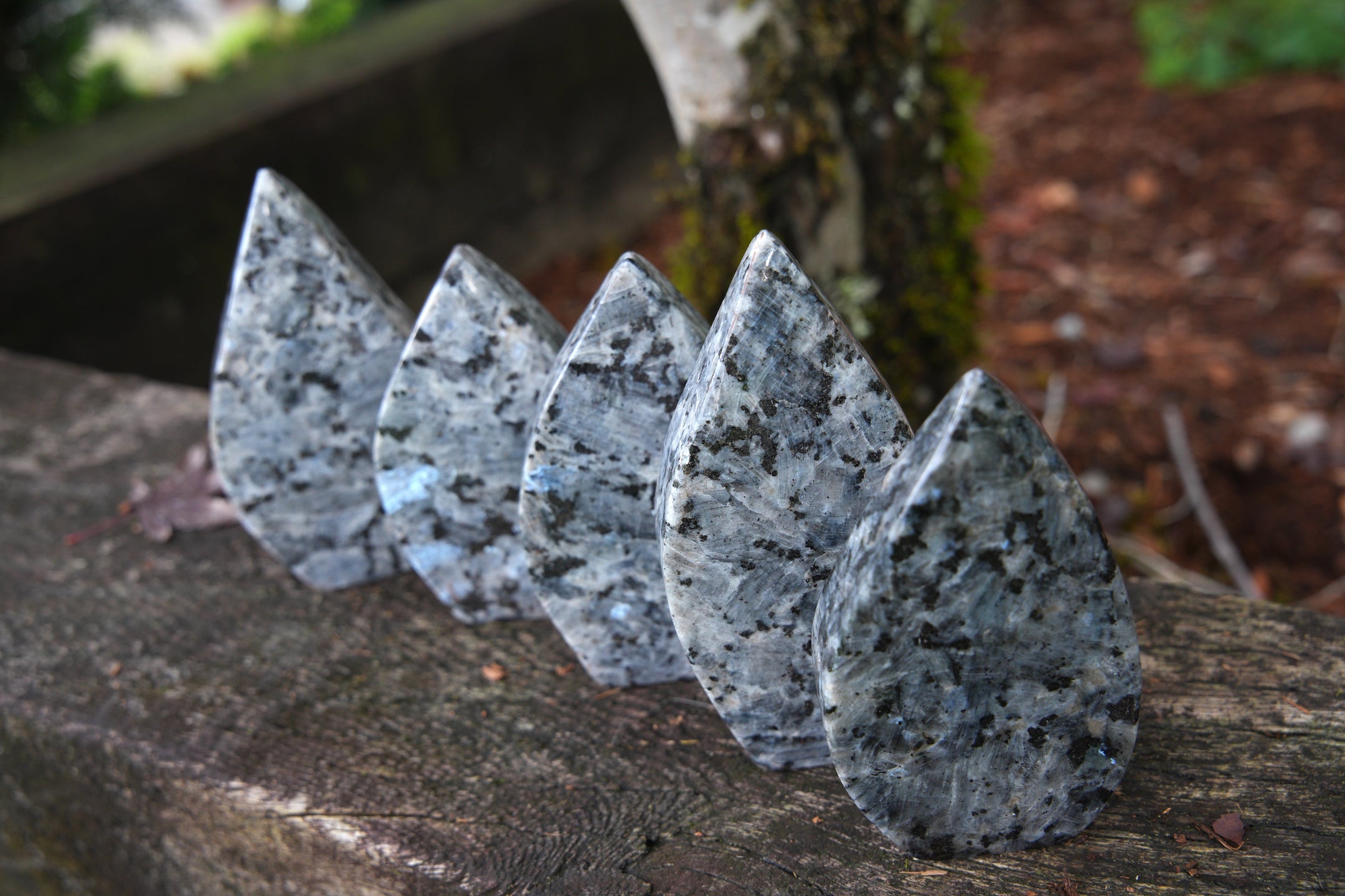 Sculpture de feuilles de larvikite naturelles flashy du Pakistan, belle et authentique qualité A+