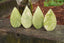 Sculpture de feuilles de serpentine pointillées vertes naturelles du Pakistan, belle et authentique qualité A+